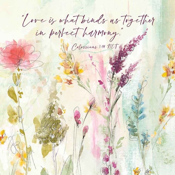 đWELCOME to My Closet! - Picture 4 of 8